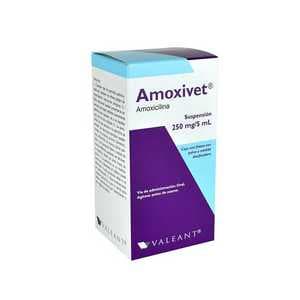 Amoxivet