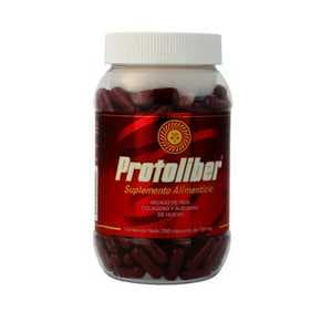 Protoliber 